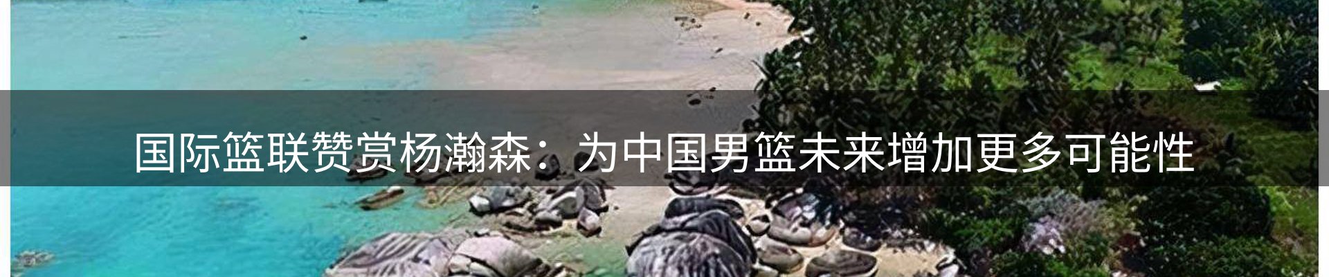 公司简报