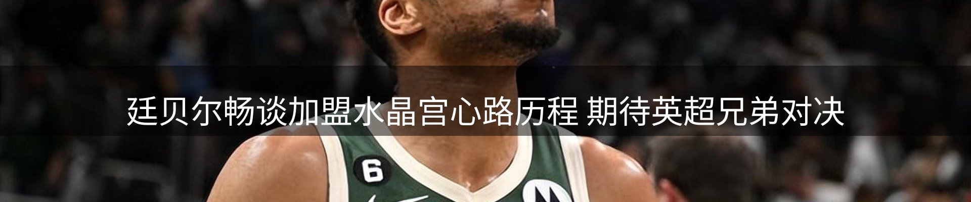 公司简报